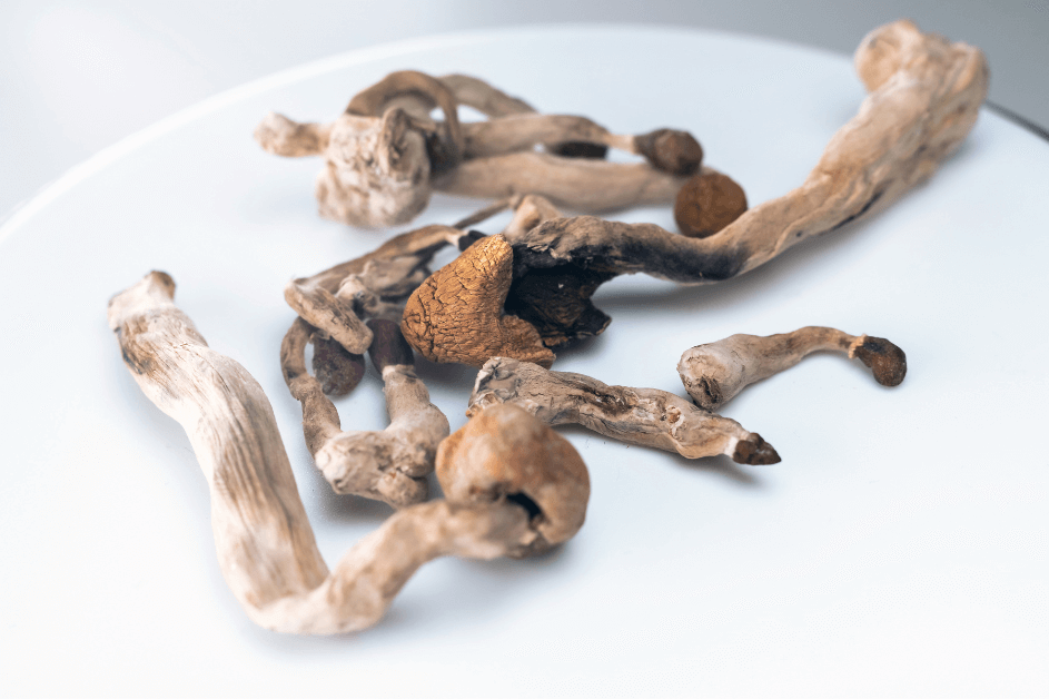 How Long Do Shrooms Stay In Your System?