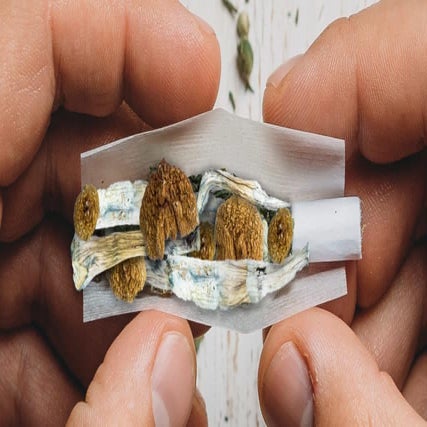 Can You Smoke Shrooms