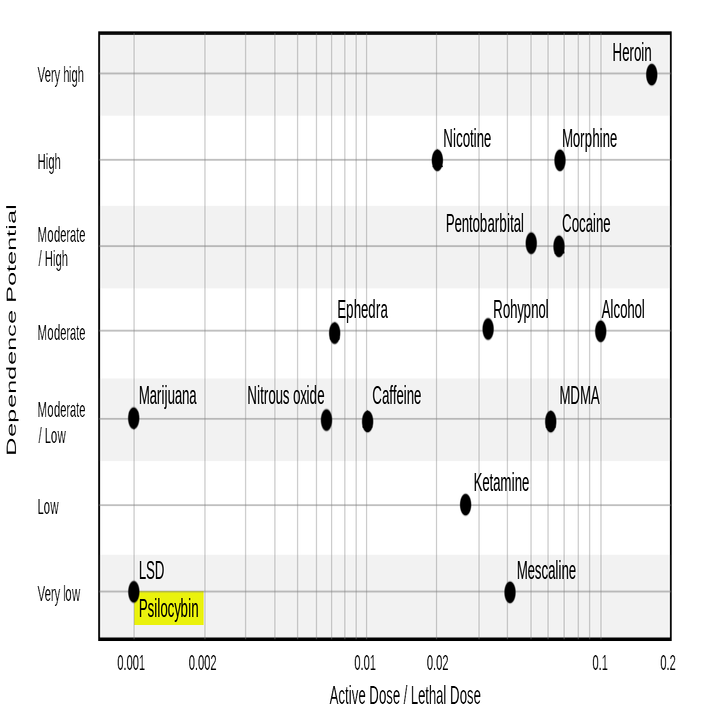 Danger of drugs risk and addiction psilocybin