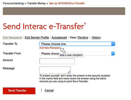 e-Transfer payment guide - Dose Magic Mushroom Shop
