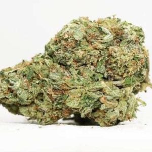 Sugar Shack: Indica Dominant Hybrid Strain for Blissful Relaxation Burnaby Buds