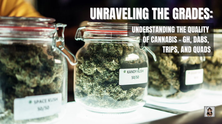 Unraveling the Grades: Understanding the Quality of Cannabis - GH, Dabs, Trips, and Quads