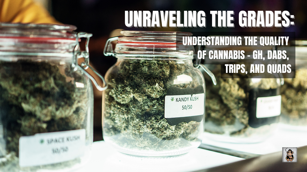 Unraveling the Grades: Understanding the Quality of Cannabis – GH, Dabs, Trips, and Quads
