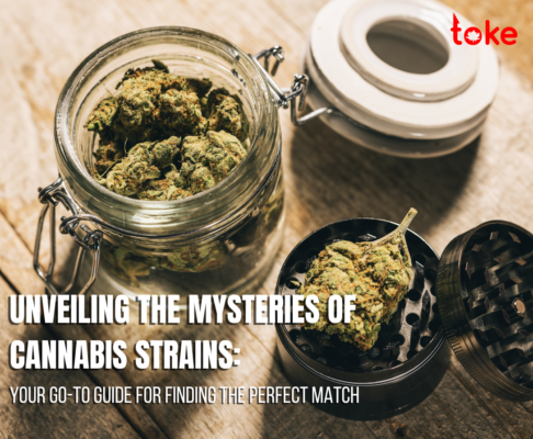 Unveiling the Mysteries of Cannabis Strains