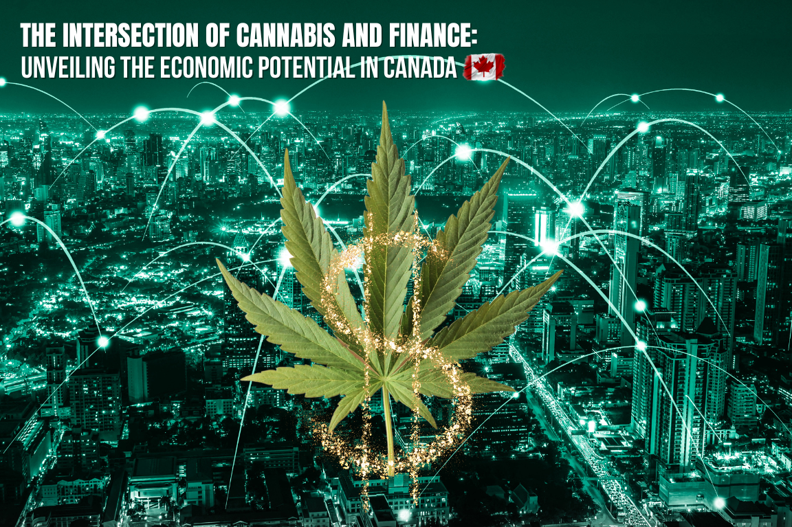 The Intersection of Cannabis and Finance: Unveiling the Economic Potential in Canada