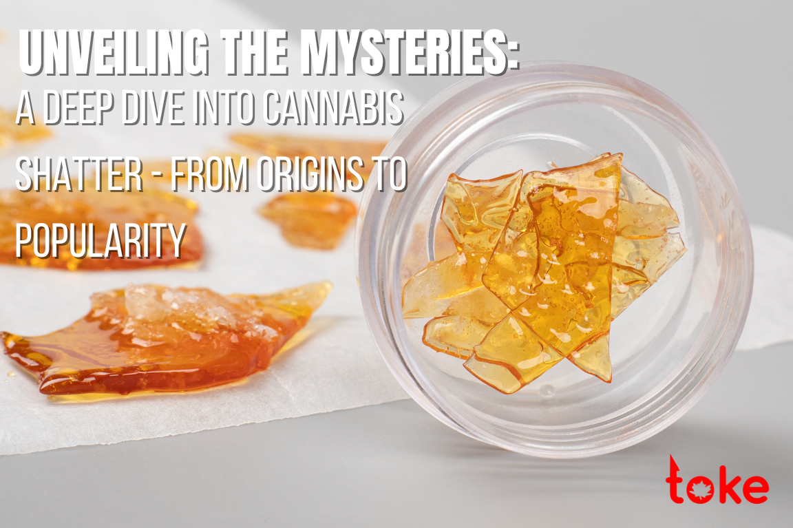 Unveiling the Mysteries: A Deep Dive into Cannabis Shatter – From Origins to Popularity