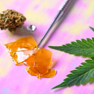 The Professional Pack - Cannabis Bundle by East Van Buds