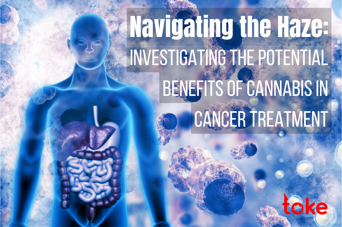 Navigating the Haze: Investigating the Potential Benefits of Cannabis in Cancer Treatment