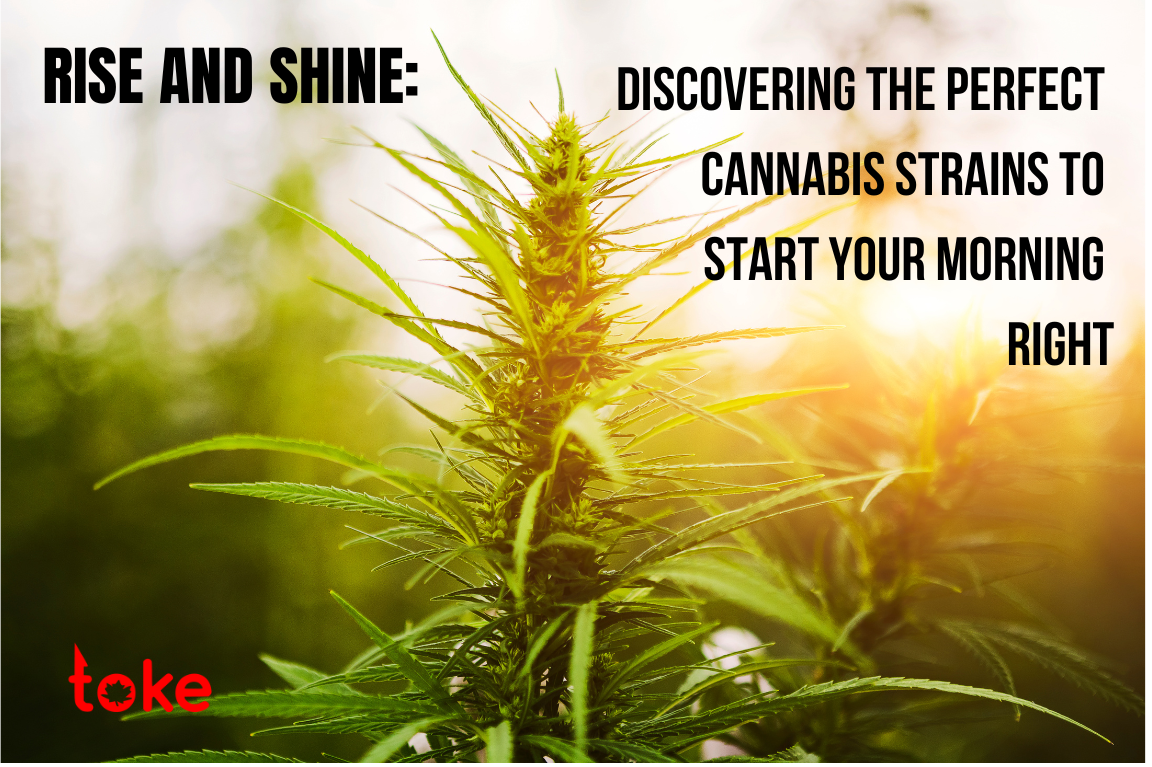 Rise and Shine: Discovering the Perfect Cannabis Strains to Start Your Morning Right