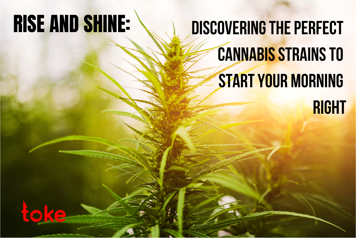 Rise and Shine with the Perfect Cannabis Strains for Your Morning