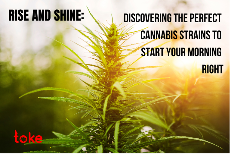 Rise and Shine with the Perfect Cannabis Strains for Your Morning