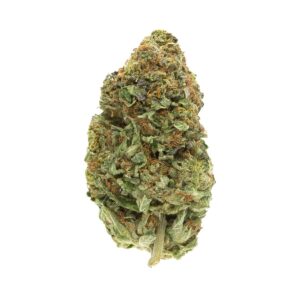 Buy Pink Magoo (AAAA) Hybrid - Same-Day Delivery Available!