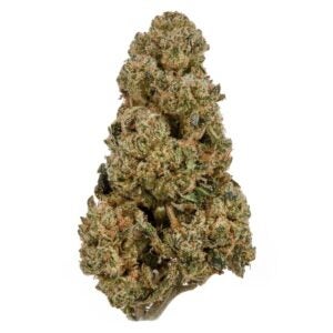 Blow Pop Marijuana Strain - High THC Indica Dominant Hybrid