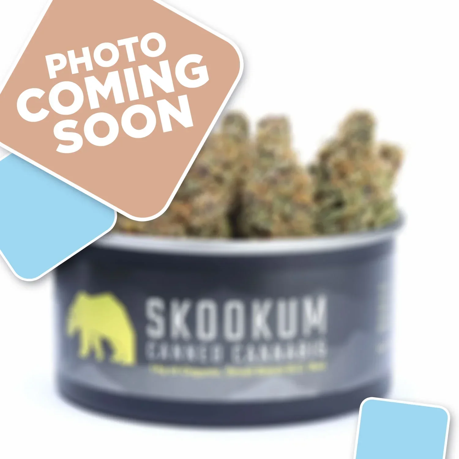 KB-skookum-comingsoon.webp