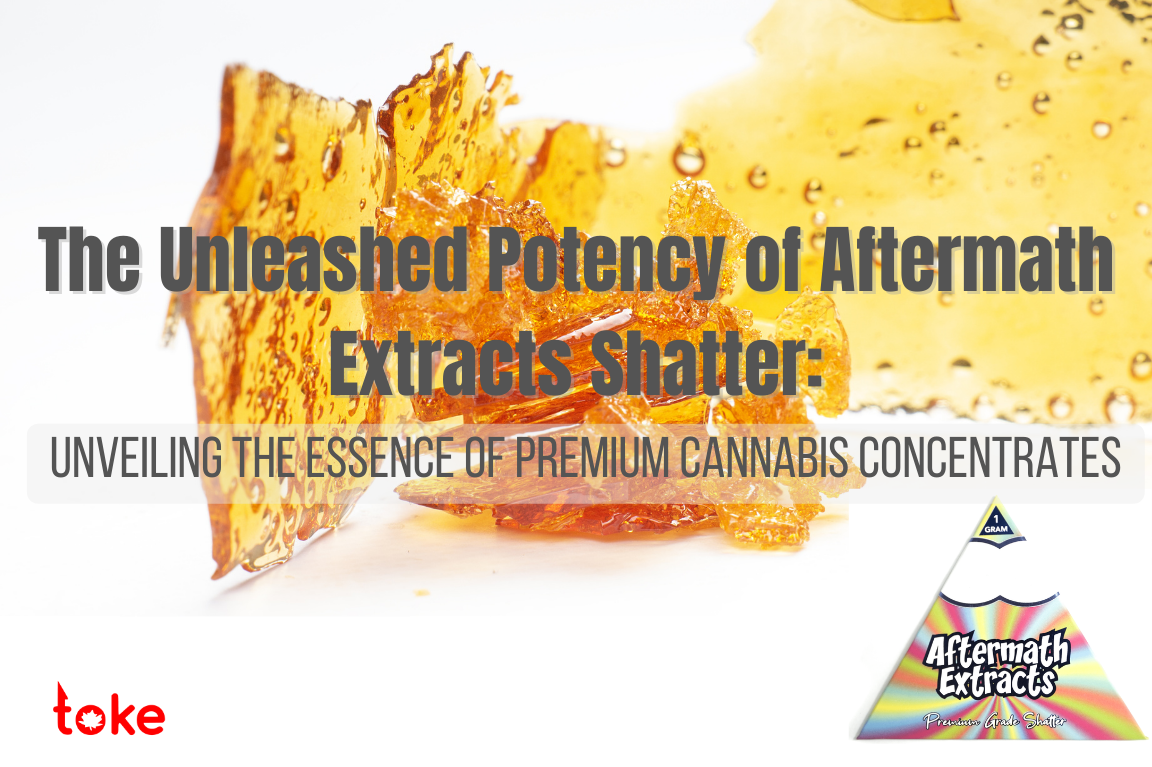 Aftermath Shatter Premium Cannabis Concentrates - Unveiling the Essence | East Van Buds