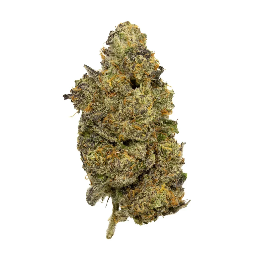 kush-mints-02-27-23-bud-v2-1-1024x1024-1-1.webp