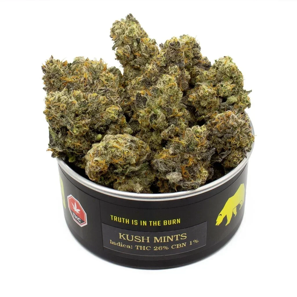 kush-mints-02-27-23-tin-1-1024x1024-1-1.webp