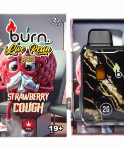 Burn Lifestyle Co - Live Resin Disposable Vape (2g)
