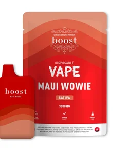 Boost - Disposable Vape (3g)