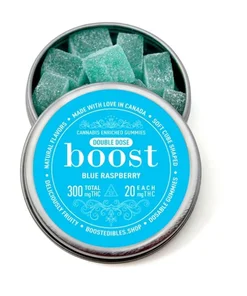 Boost - THC Gummies (300mg)