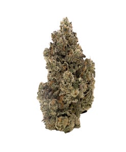 Albatross - Gas Truffle