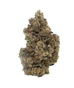 Albatross - Gas Truffle