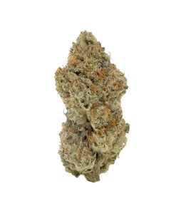Albatross - Strawberry Guava
