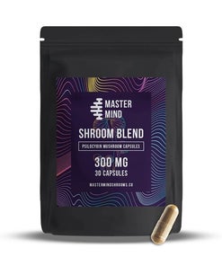 Mastermind - Mushroom Blend Capsules
