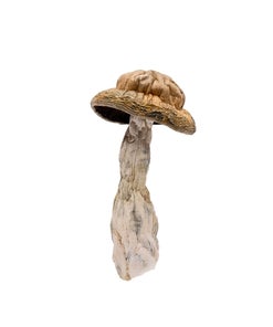 Amazeballs - Mak Shak (XL)
