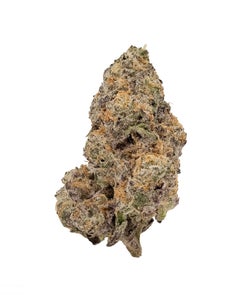 Albatross - Kush Mints