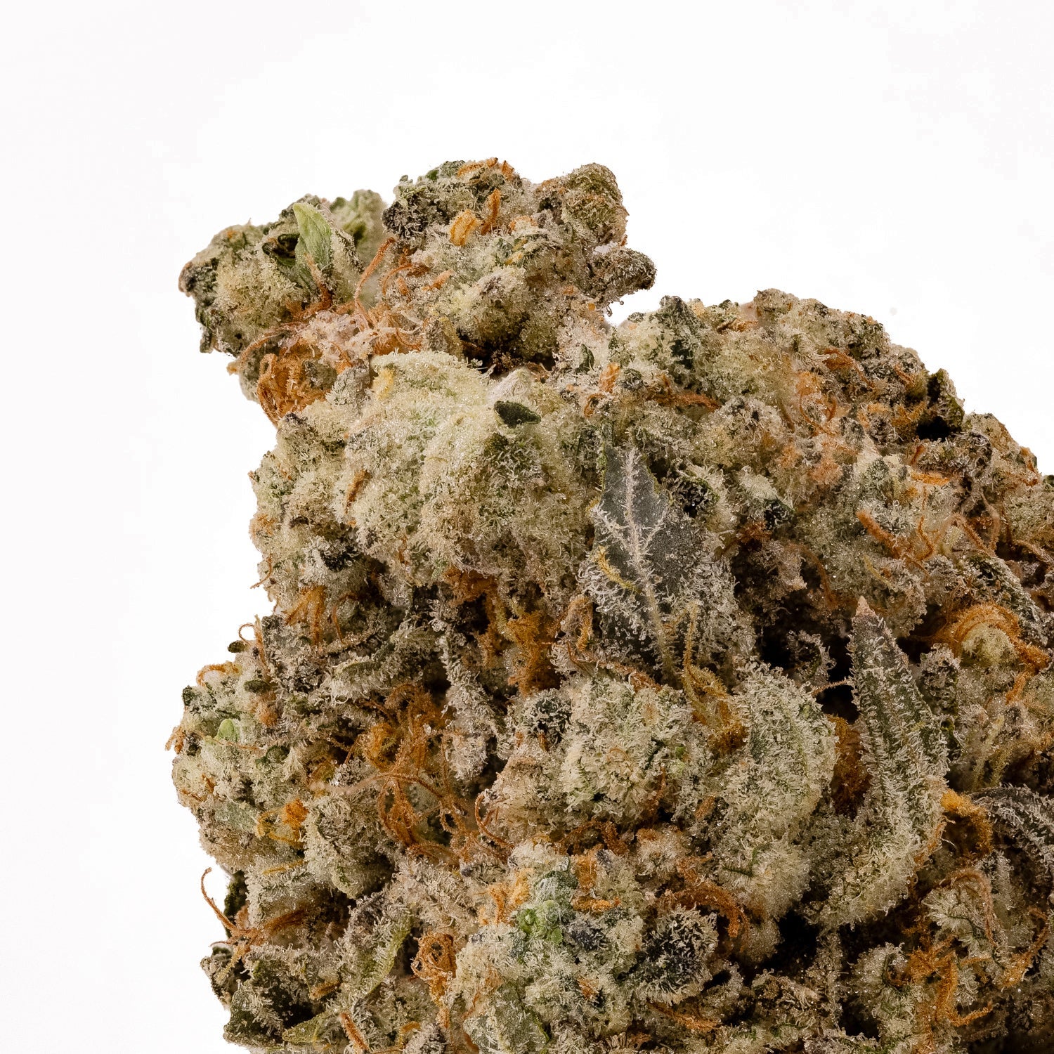 CakeBatter-LuckyFarms-04