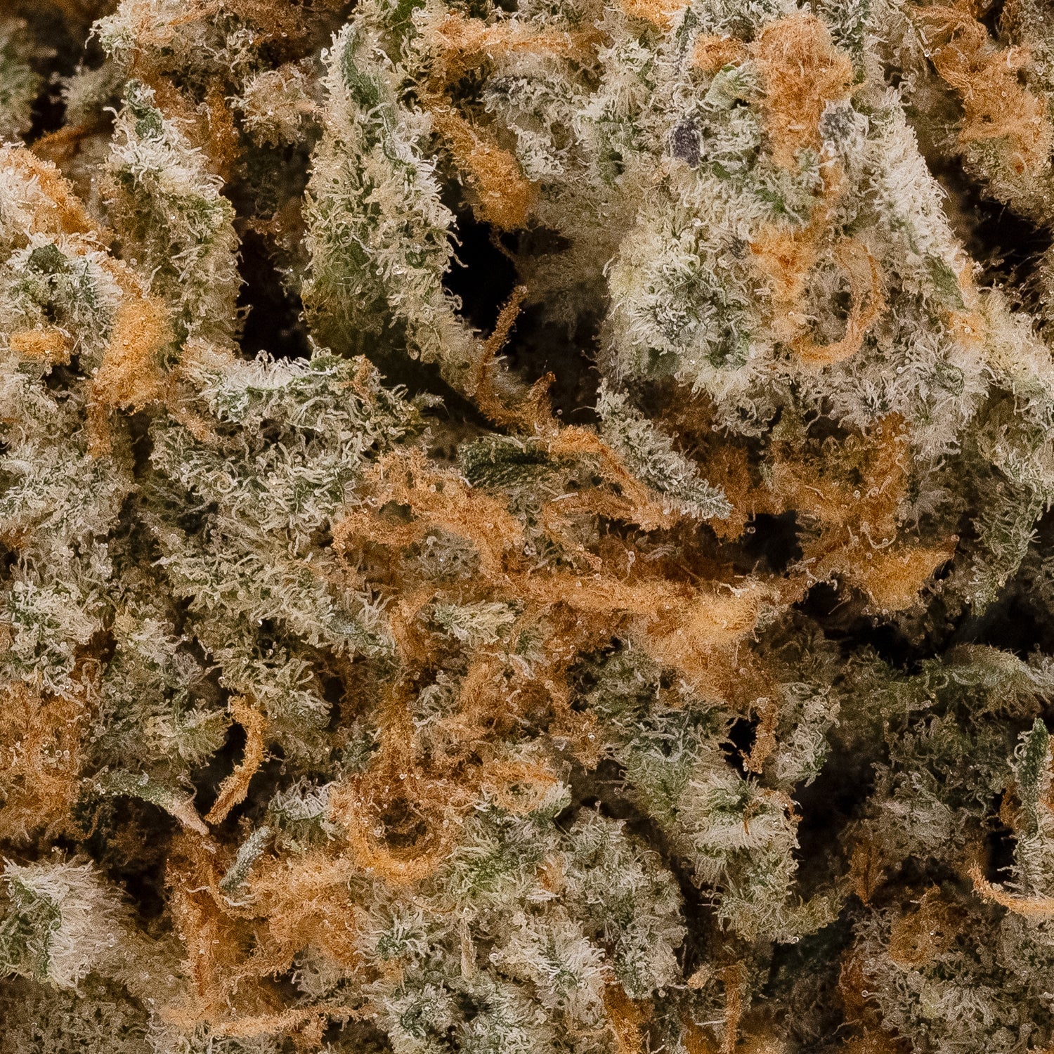 IceCreamCake-LuckyFarms-05