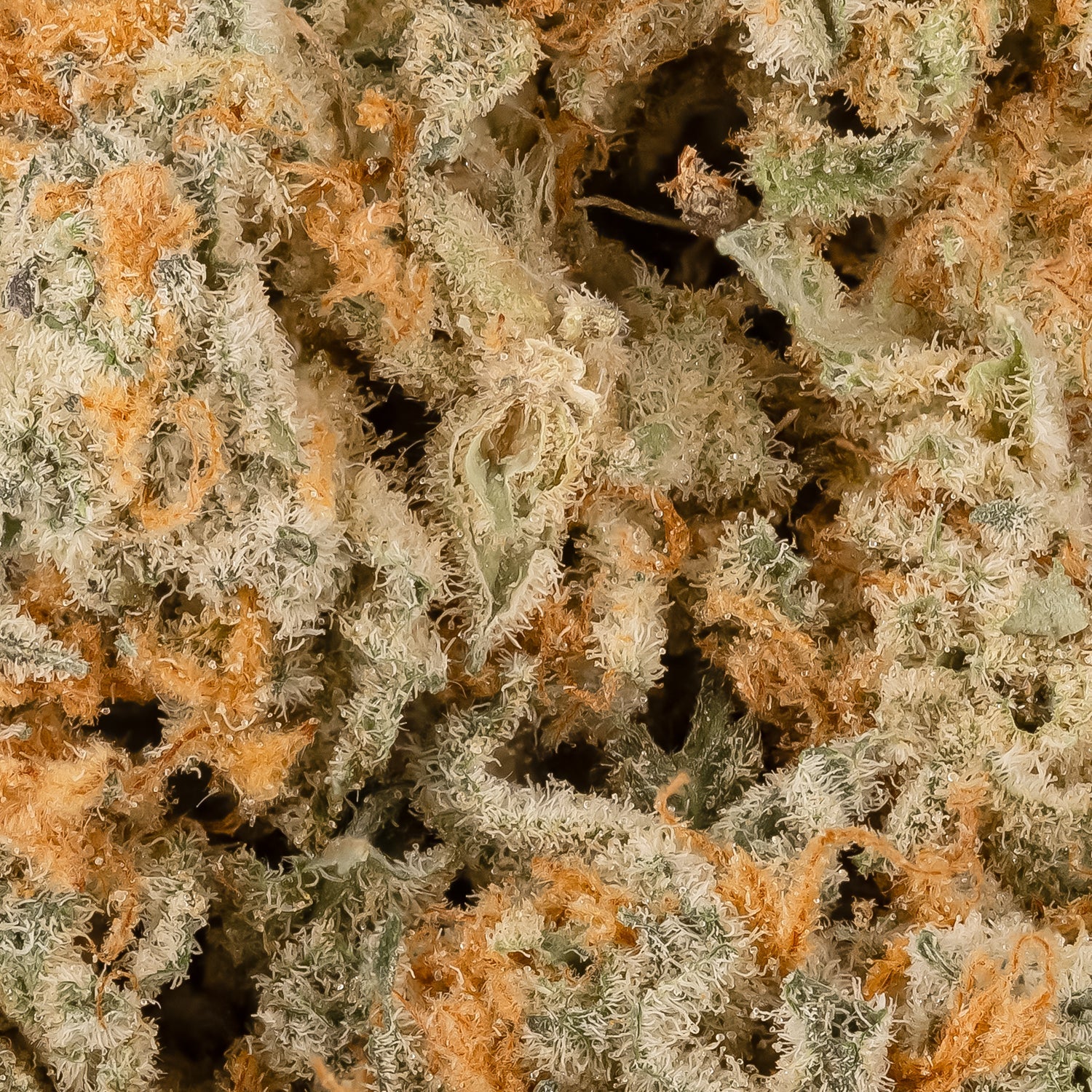 IceCreamCake-LuckyFarms-06