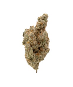 Albatross - Panama Haze