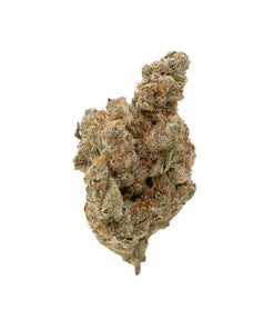 Albatross - Panama Haze