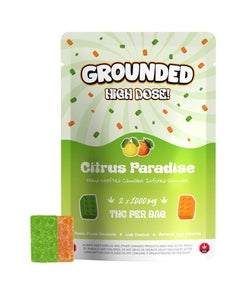 Grounded - High Dose Bricks (2000mg)