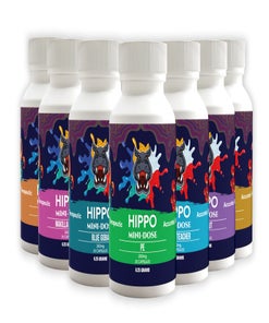 Hippo - Mushroom Capsules (250mg)