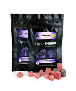Hippo - Mushroom Gummies (150mg to 500mg)