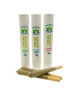 Trichome Gardens - Shatter Pre-Rolls (1g)