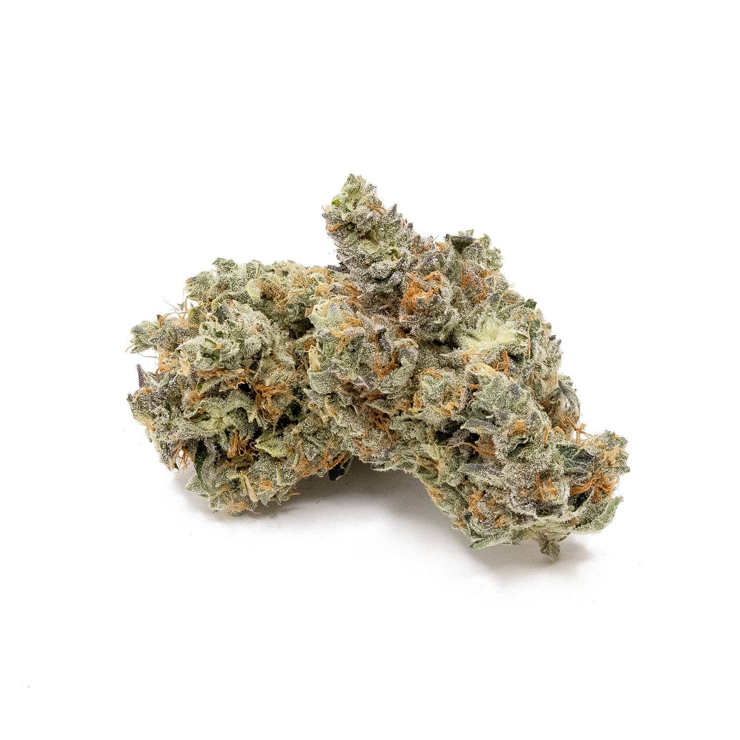 PunchDog-Albatross-02