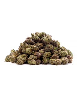 Dollar Treez - Purple Punch (smalls)