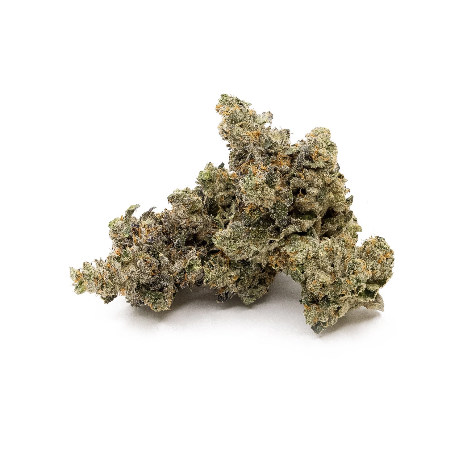 RainbowRuntz-Hoot-02