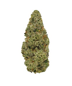 Albatross - Legend OG