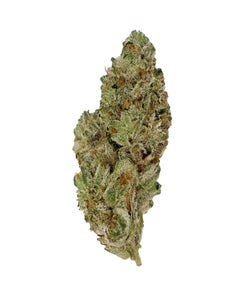 Albatross - Purple Cali OG