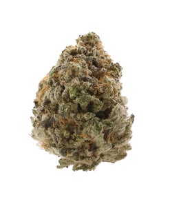 Dollar Treez - Sugar Cookies