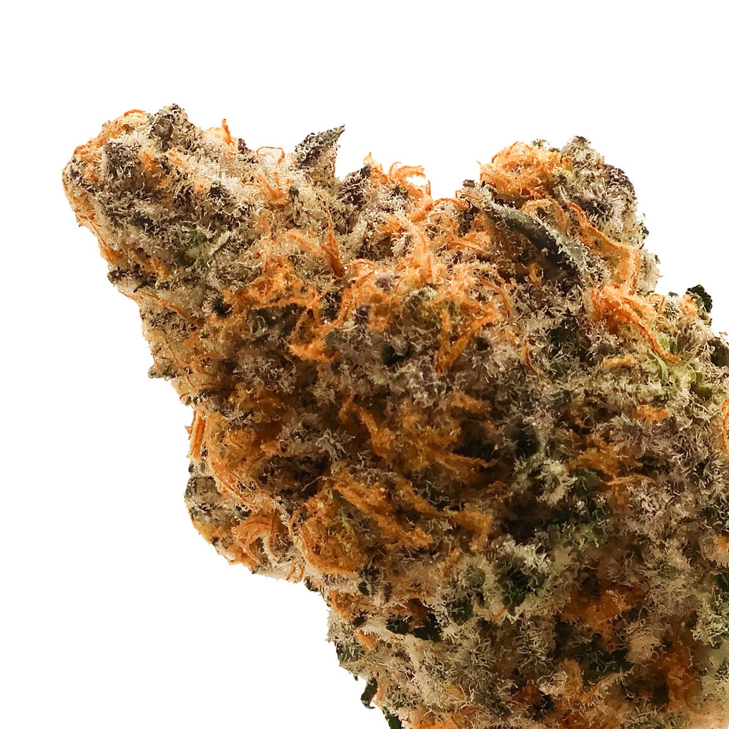 Hoot-Cannabis-Grey-Goose-04