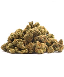 Jungle Ridge - Girl Scout Cookies (smalls)