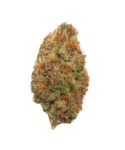 Jungle Ridge - Super Boof
