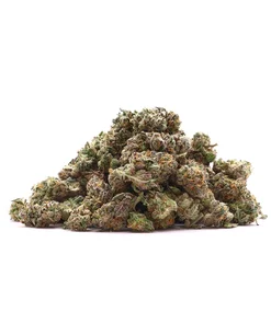 Lucky Farms - Candy Store (smalls)