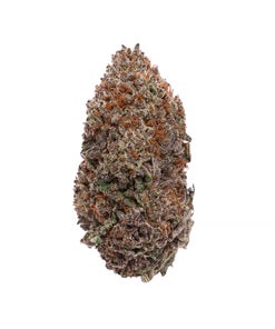 Lucky Farms - Black Domina